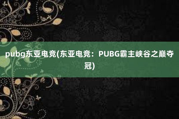 pubg东亚电竞(东亚电竞：PUBG霸主峡谷之巅夺冠)