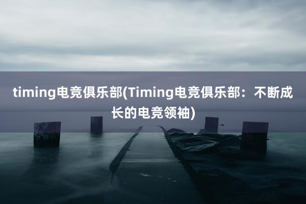 timing电竞俱乐部(Timing电竞俱乐部：不断成长的电竞领袖)