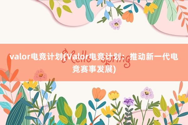 valor电竞计划(Valor电竞计划：推动新一代电竞赛事发展)