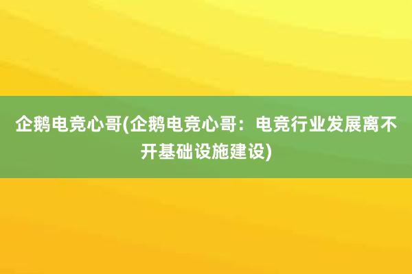 企鹅电竞心哥(企鹅电竞心哥：电竞行业发展离不开基础设施建设)