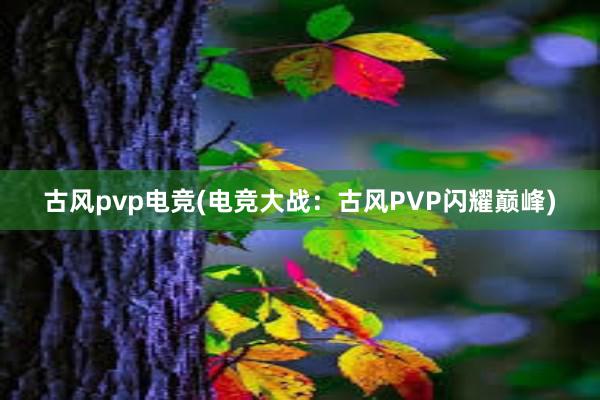 古风pvp电竞(电竞大战：古风PVP闪耀巅峰)