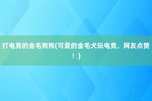 打电竞的金毛狗狗(可爱的金毛犬玩电竞，网友点赞！)