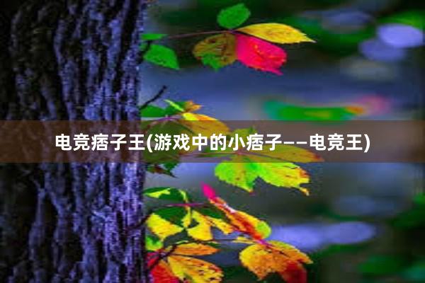 电竞痞子王(游戏中的小痞子——电竞王)