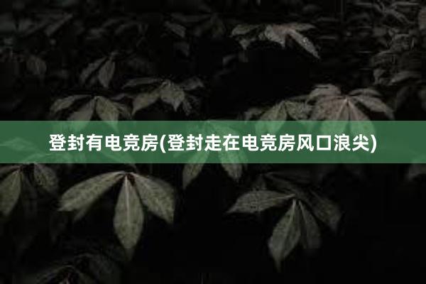 登封有电竞房(登封走在电竞房风口浪尖)