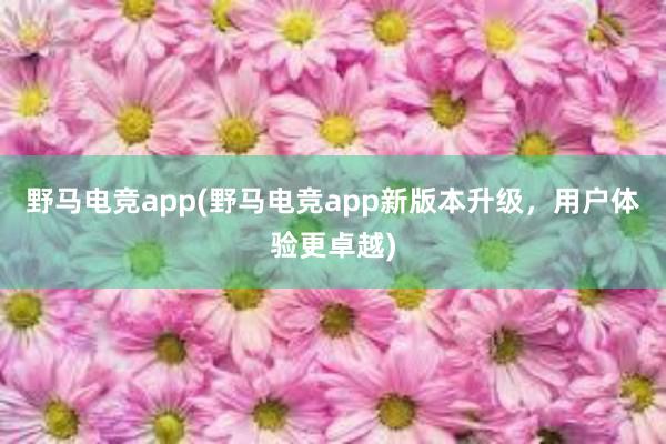 野马电竞app(野马电竞app新版本升级，用户体验更卓越)