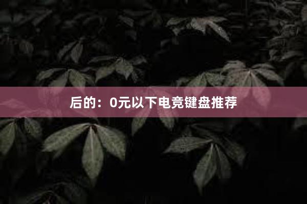 后的：0元以下电竞键盘推荐