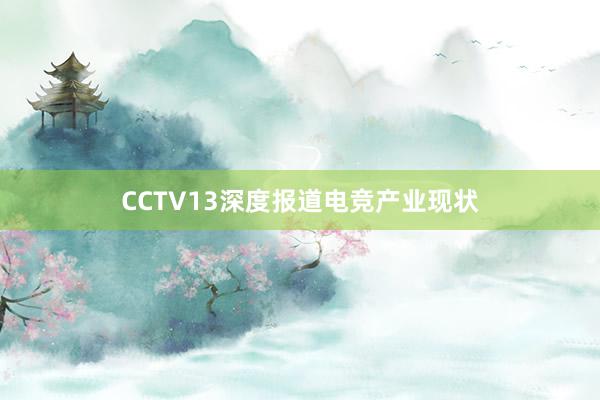 CCTV13深度报道电竞产业现状