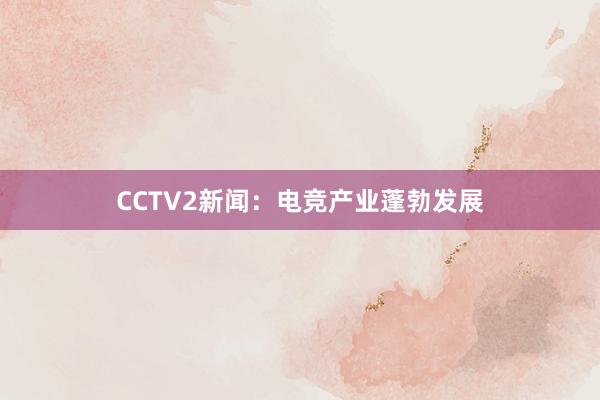 CCTV2新闻：电竞产业蓬勃发展