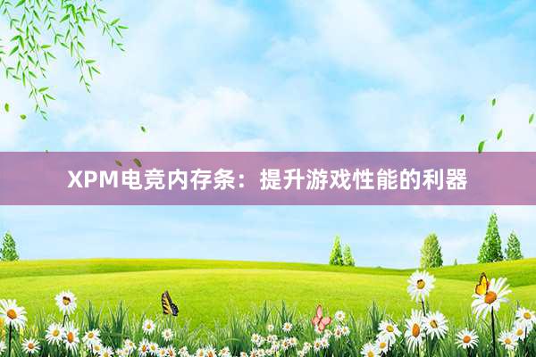 XPM电竞内存条：提升游戏性能的利器