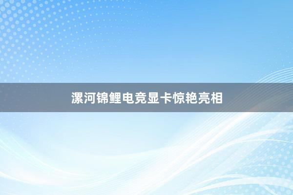 漯河锦鲤电竞显卡惊艳亮相