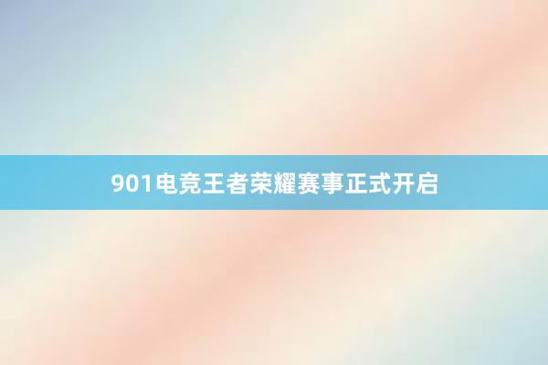 901电竞王者荣耀赛事正式开启