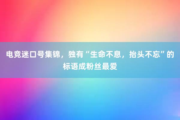 电竞迷口号集锦，独有“生命不息，抬头不忘”的标语成粉丝最爱