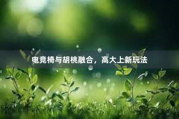 电竞椅与胡桃融合，高大上新玩法