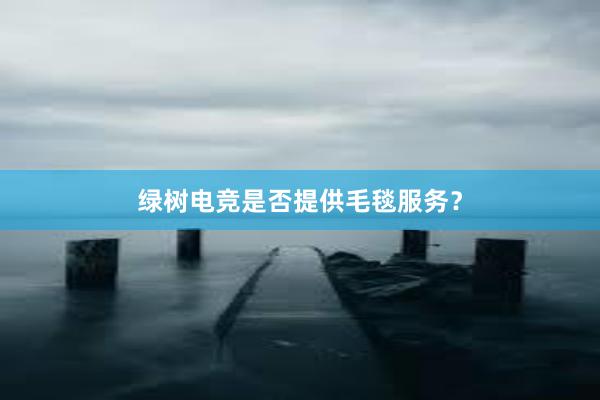 绿树电竞是否提供毛毯服务？