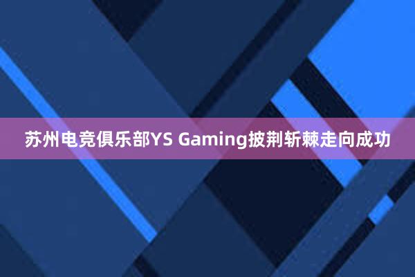 苏州电竞俱乐部YS Gaming披荆斩棘走向成功