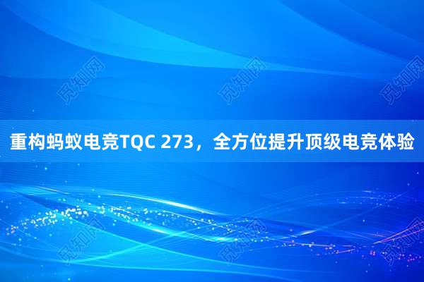 重构蚂蚁电竞TQC 273，全方位提升顶级电竞体验