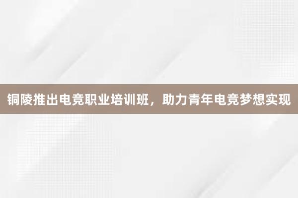 铜陵推出电竞职业培训班，助力青年电竞梦想实现